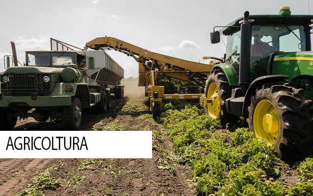 AGRICOLTURA